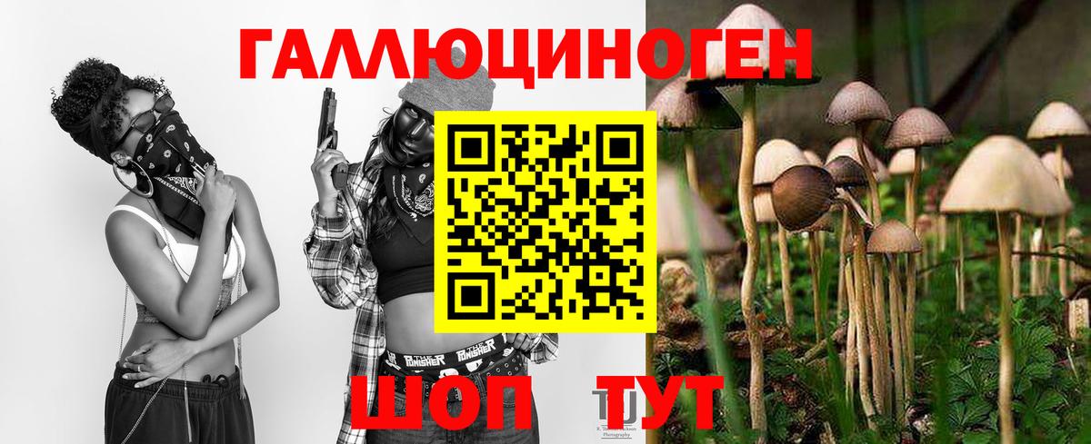 Галлюциногенные грибы Psilocybine cubensis  где найти наркотики  Конаково  Вход с VPN 
